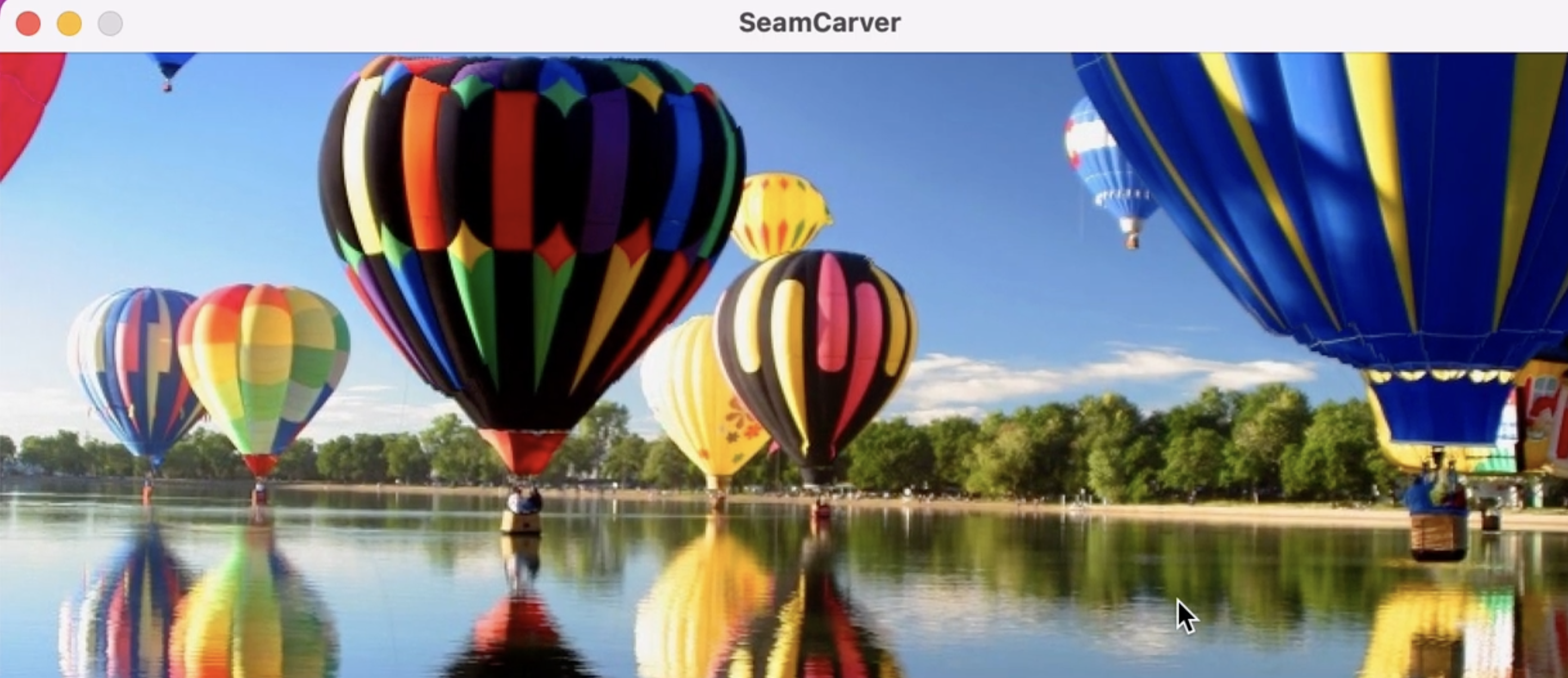 Seam Carver